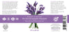 Health Ranger's Tea Tree and Lavender Shampoo 12 oz