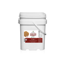Mega Bucket Organic Hard Red Wheat Berries 10LB (4535g)