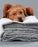 100% Organic Cotton Bath Towels Collection