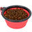 Mr. Peanut's Collapsible Silicone Pet Travel Bowls - 12oz