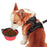 Mr. Peanut's Collapsible Silicone Pet Travel Bowls - 12oz
