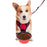 Mr. Peanut's Collapsible Silicone Pet Travel Bowls - 12oz