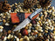 Hand forged Damascus Knife Neck Knife TD-233