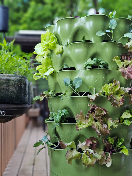Garden Tower 2™ Move and Grow Bundle (Dropship)