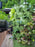 Garden Tower 2™, 50-Plant Composting Vertical Garden Planter (Dropship)