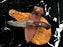 Damascus Knife Compact Utility Knife TD-176B