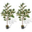 2 Pack 4.3 Feet Tall Artificial Bird of Paradise Plant Fake Banana Leaf-Green