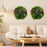 2 Pack Square Framed Artificial Foliage Wall Art