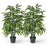 2 Pack Fake Bamboo Leave Tree with 3 PE Bamboo Trunk-Green