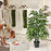 2 Pack Fake Bamboo Leave Tree with 3 PE Bamboo Trunk-Green