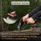3-Piece Inshave (Half-Rounded Drawknife) Set