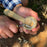 3-Piece Spoon Carving Tool Set