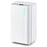 32 Pints 2000 Sq.ft Portable Dehumidifier for Home and Basement-White
