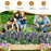 U-Shaped Wooden Garden Raised Bed for Backyard and Patio