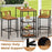 3 Pieces Outdoor Wood Bar Set with 3-Tier Storage Shelf and Metal Frame