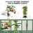 3 Pack 60 inch Adjustable Tall Plant Support Trellis for Climbing Plants