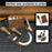 4-Piece Leatherworking Tool Set with Leather Sheaths