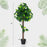 45 Inches Artificial Hydrangea Tree with Real Wood Trunk and Realistic Hydrangea Leaves