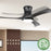 52 Inch Flush Mount Ceiling Fan with LED Light-Black
