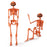 5.2 FT Orange Life-Size Poseable Halloween Skeleton with Pumpkin Head and Movable Joints