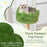 63 Inch Multi-Level Aesthetic Stripped Kitten Tower with 2 Condos-Green