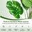 2 Pieces 5 Feet Artificial Monstera Tree Set