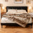 760GSM Soft Plush Fuzzy Luxury Faux Raccoon Fur Blanket for Sofa-M