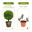 2 Pieces 24 Inch Artificial Boxwood Topiary Ball Tree for House and Office