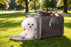Mr. Peanut's Gold Series V3.0 Pet Carrier