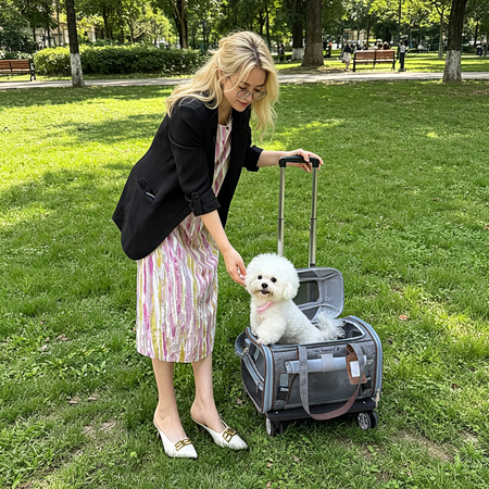 Mr. Peanut's Gold Series Expandable V3.0 Pet Carrier - Updated Model Landing 9/15