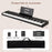 88 Keys Velocity-Sensitive Piano Keyboard with French DREAM Audio Source-Black