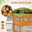 Acacia Wood 2-Person Patio Loveseat with Backrest and Armrests for Porch