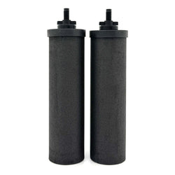 Berkey Phoenix Gravity New Millennium Edition Filter Elements Set of 2 (5,500 Gallons of Water)