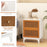 Boho Accent Table Nightstand with 2 Handwoven Rattan Decorated Drawers-White