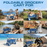 Beach Wagon Cart with Big Wheels – Foldable Utility Wagon Blue