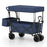 Collapsible Wagon with Removable Canopy and Detachable Storage Bag