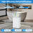 Dehumidifier with Auto Drain or Manual Drainage for Home Basement-White