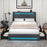 Full Size Bed Frame with LED Lights Wingback Headboard and Charging Station-Grey