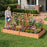 Raised Garden Bed with 2 Planter Boxes and 3 Trellis-Natural