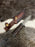 Grizzly Timberline Damascus Knife Damascus Knife TK-099  (Compact)