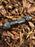 Warrior GEN5 LT-(Long Throw) - 3050 Lumen   480 Meter   Tactical Flashlight