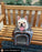 Mr. Peanut's Gold Series Big Apple Double Expandable Pet Carrier