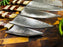 5-Piece Damascus & Arylic Knife Set / With Leather carry Bag