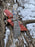 8'' Compact Tracker best all round camping knife TD-085