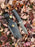 Darkwood Sentinel TK-211