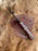 POCKET KNIFE RED RESIN WOOD 6.5'' DAMASCUS STEEL KNIFE STEEL BOLSTER BACK LOCK FOLDING KNIFE BP-18