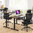 Mesh Office Chair with Adaptive Lumbar Support Flip-up Armrests Reclining Backrest-Black