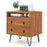 Mid Century Modern 2-Drawer Nightstand with Storage Compartment-Walnut