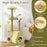Freestanding Multi-level Avocado Cat Tower with Private Condo-Green