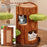 Multi-level Cat Tree with Double Decker Cat House and Sisal Panel-Brown